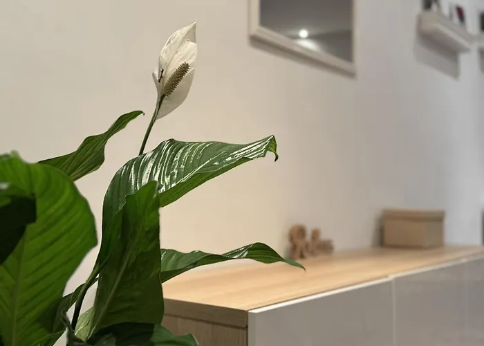 Themenzimmer Pusteblume Naehe Hauptbahnhof * Duisburg